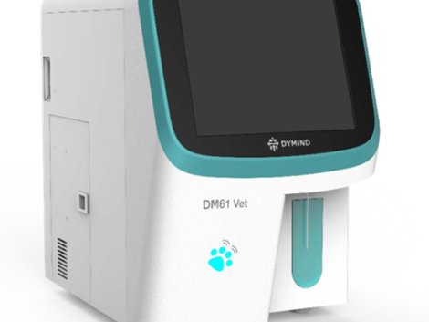 DM61